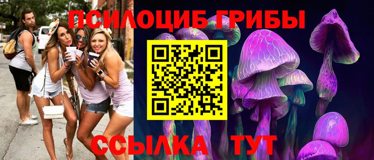 Псилоцибиновые грибы Psilocybine cubensis  Вход с VPN  Заволжье  продажа наркотиков  Галлюциногенные грибы GOLDEN TEACHER 